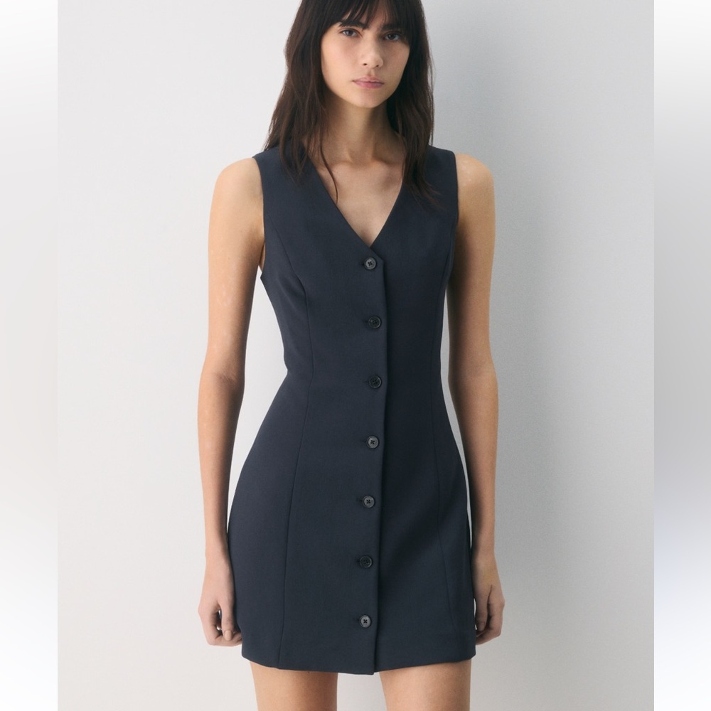 Aritzia Sleek Button-Front Mini Dress in Black